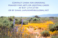 Fine Arts & Greeting Cards